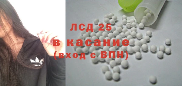 PSILOCYBIN Шали