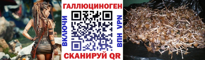 что такое наркотик Владивосток Галлюциногенные грибы MAGIC MUSHROOMS