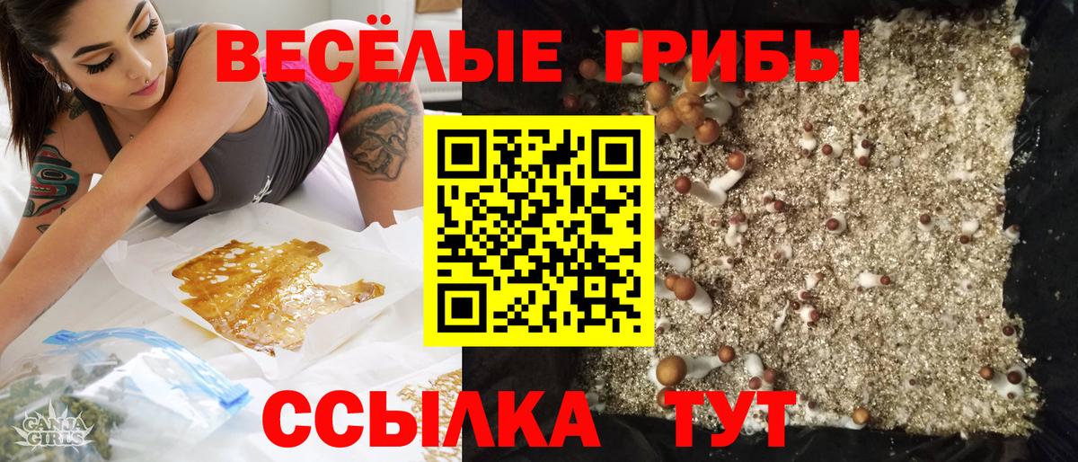 как найти закладки  Вход с VPN  Владивосток  Псилоцибиновые грибы мухоморы 